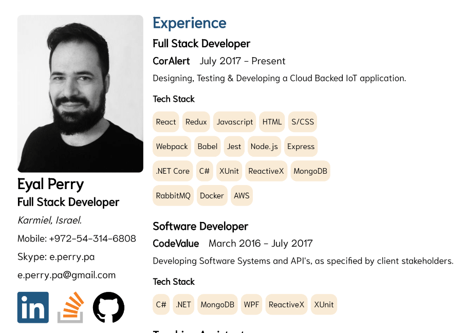 Developer CV Template